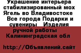 Украшение интерьера стабилизированный мох Ягель во Владивостоке - Все города Подарки и сувениры » Изделия ручной работы   . Калининградская обл.